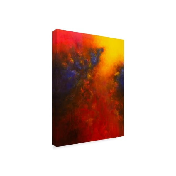 Aleta Pippin 'Cascading Light' Canvas Art,35x47